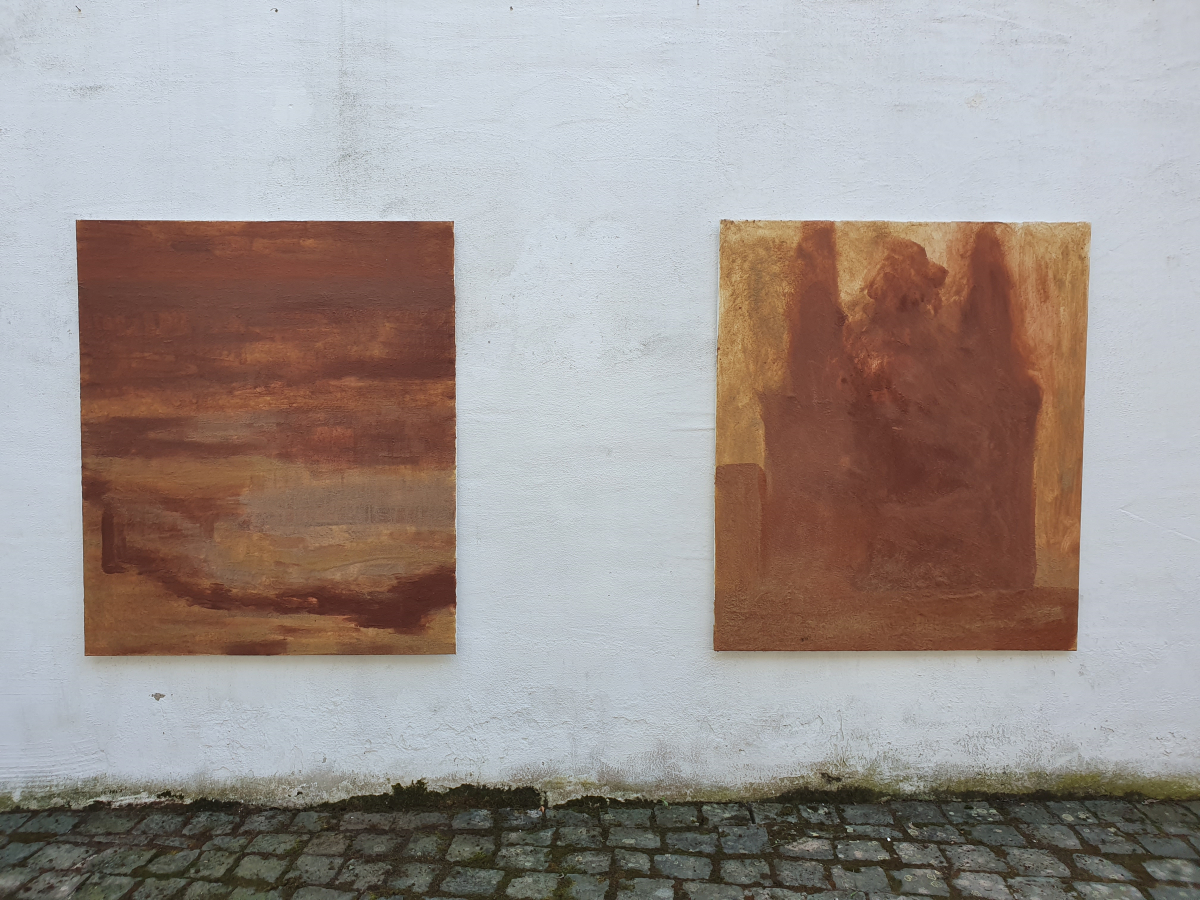 Bild11